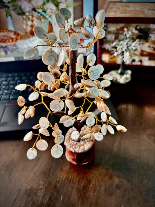 Gomati Chakra Tree